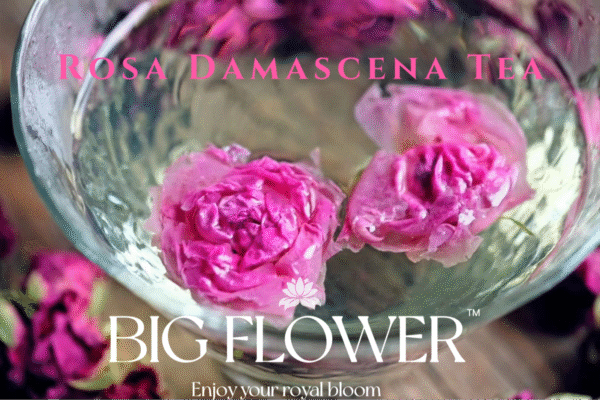 Rose Damascena Tea