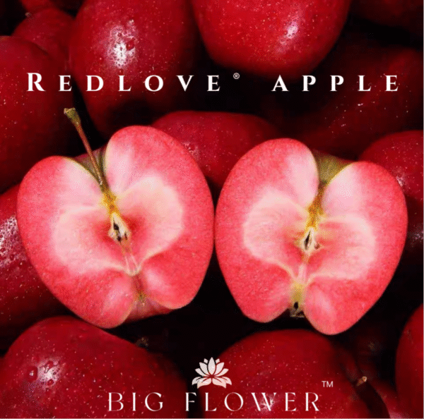 Redlove® apple